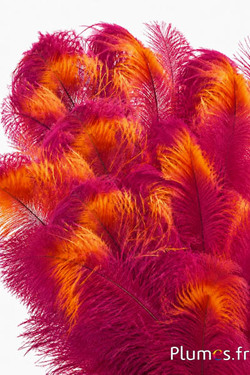 Struzzo con fascia colorata - 30-40 cm - fucsia-carminio-giallo